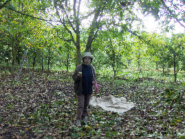eireira001012.jpg