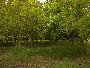 eireira004001.jpg