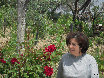 eireira005004.jpg