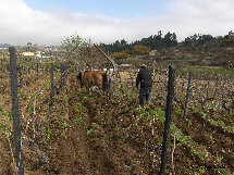 eireira015005.jpg