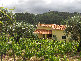 eireira015011.jpg