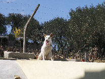 eireira017004.jpg