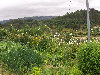 eireira019020.jpg