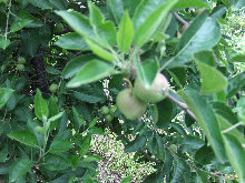 eireira019030.jpg