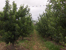 eireira019031.jpg