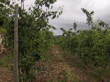 eireira019033.jpg
