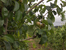 eireira019034.jpg