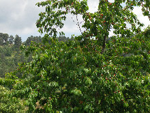 eireira019036.jpg