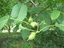 eireira023013.jpg