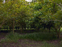 eireira023023.jpg