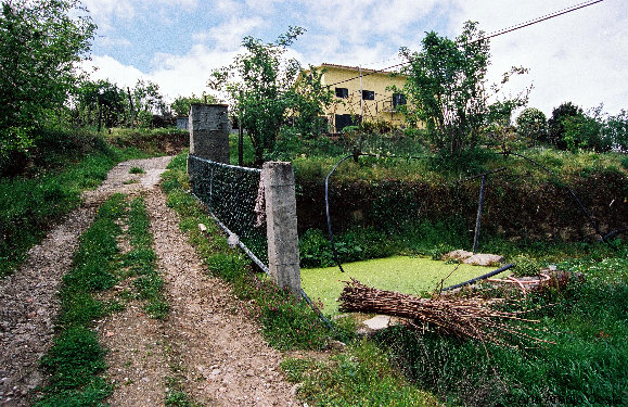 eireira035010.jpg
