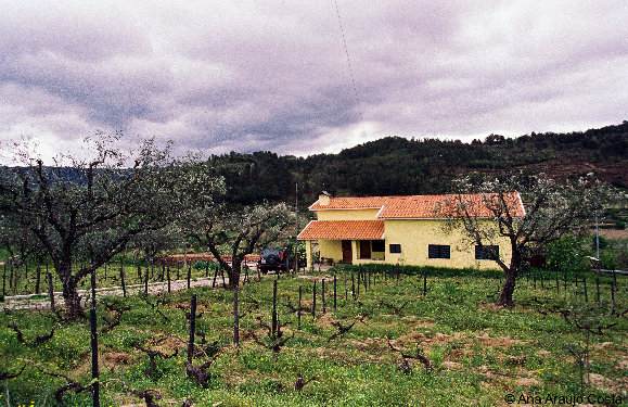 eireira035011.jpg