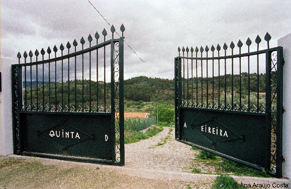 eireira035012.jpg