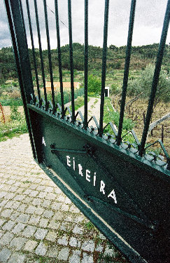 eireira035017.jpg